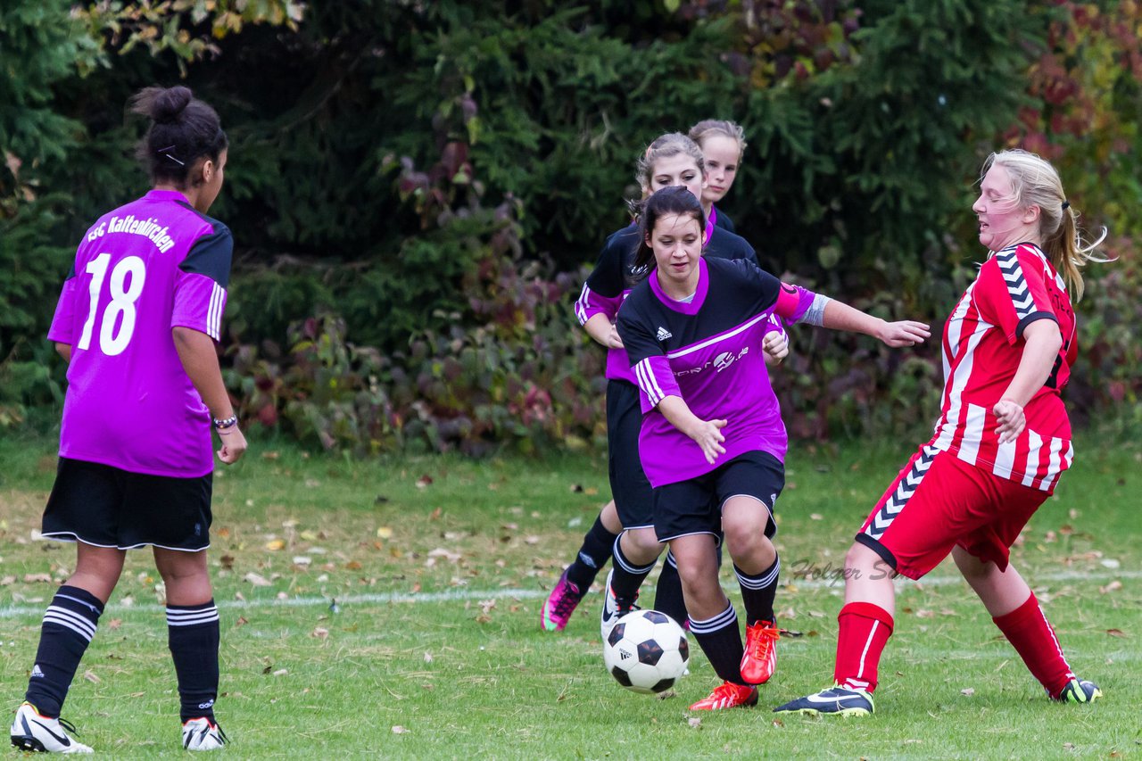 Bild 213 - C-Juniorinnen TuS Tensfeld - FSC Kaltenkirchen : Ergebnis: 2:4